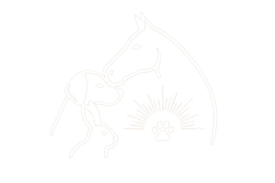 Corentin Etourneau – Ostéopathe Animalier